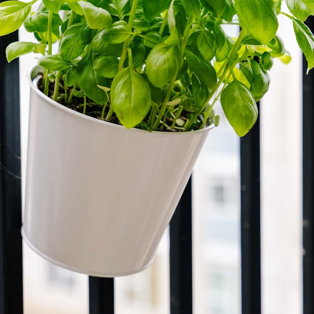 Runder Balkonblumentopf, L: 24,5 cm B: 16,2 cm H: 25,2 cm