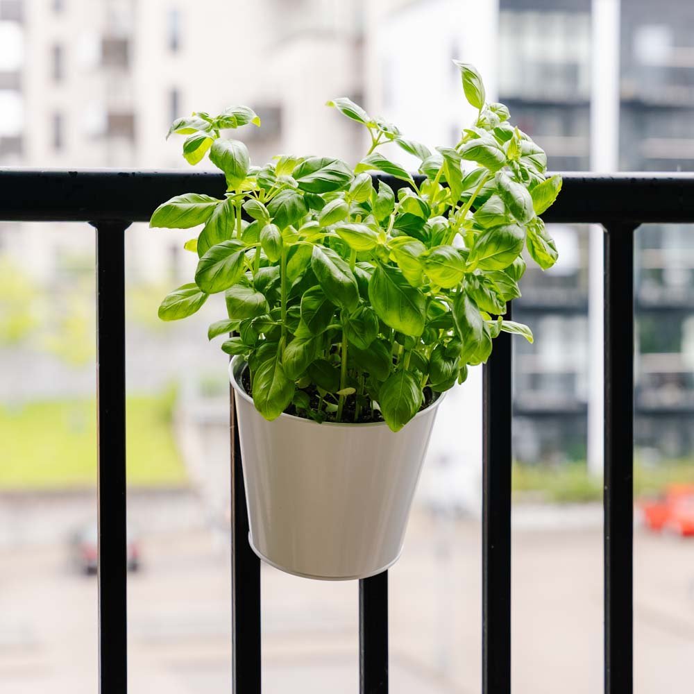 Runder Balkonblumentopf, L: 24,5 cm B: 16,2 cm H: 25,2 cm