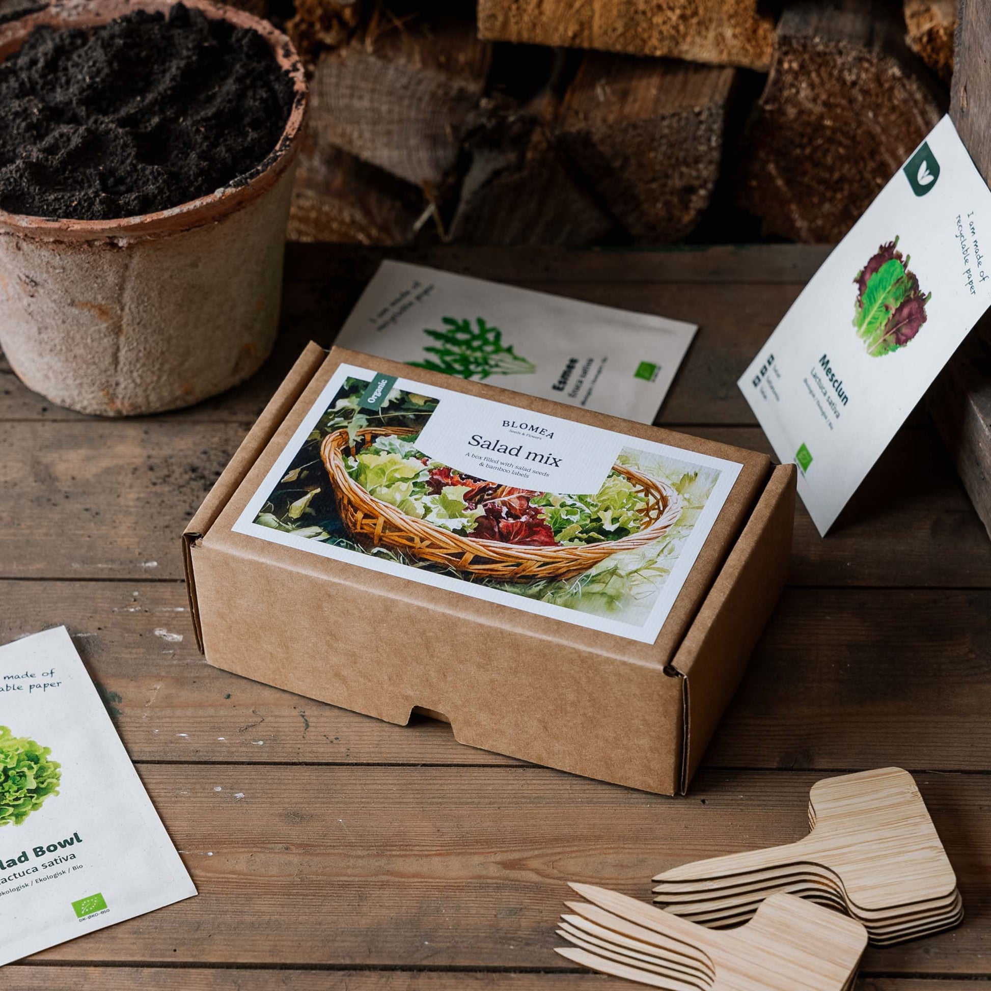 Salatbox - 12 Päckchen Biosamen