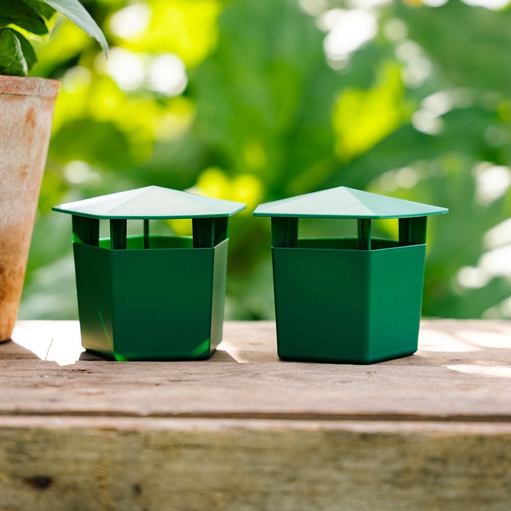 Schneckenfalle, 2er Pack