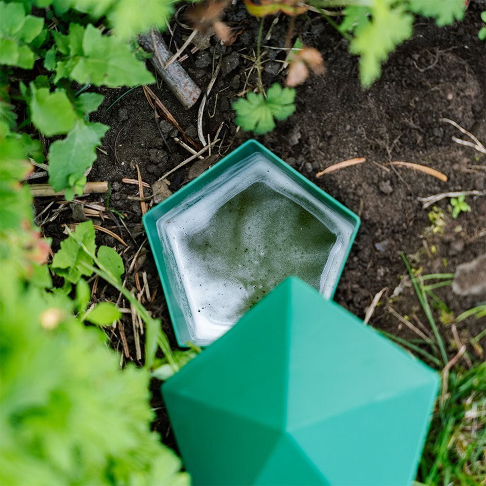 Schneckenfalle, 2er Pack