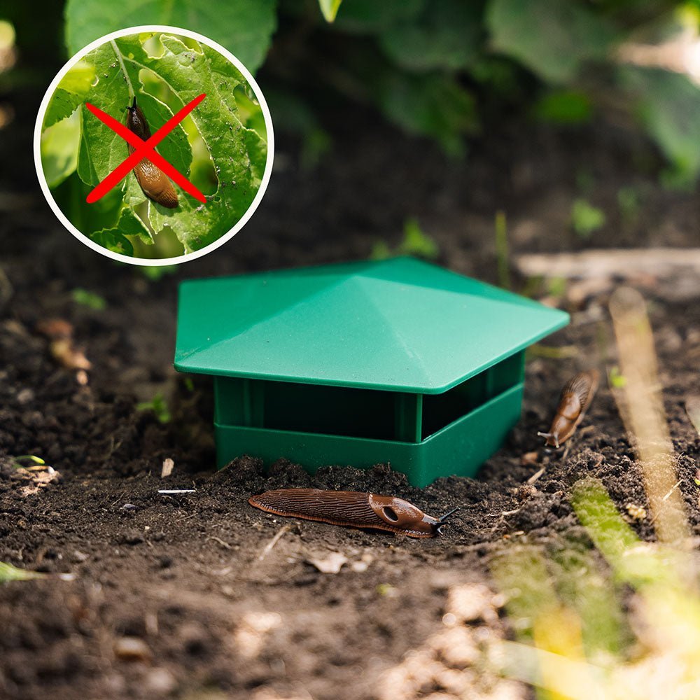 Schneckenfalle, 2er Pack