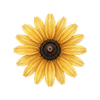 Blumensamen