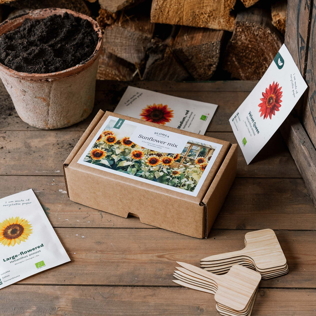 Sonnenblumenbox - 12 Päckchen Biosamen