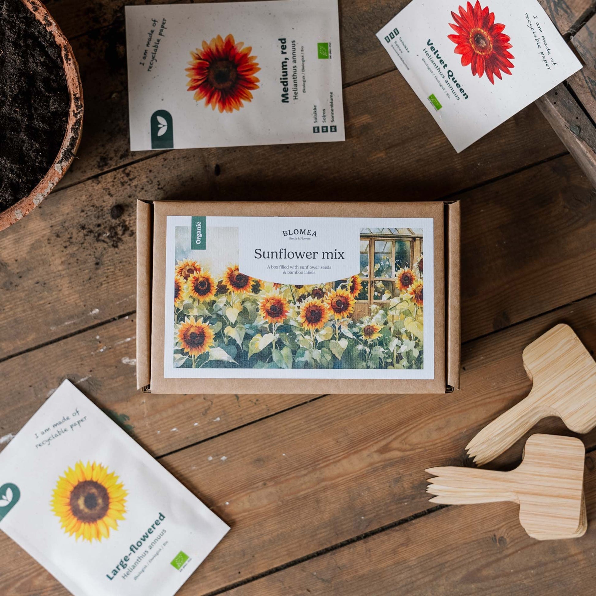 Sonnenblumenbox - 12 Päckchen Biosamen