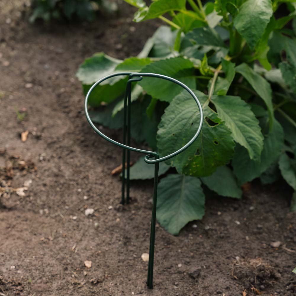 Stützbügel für Pflanzen, B: 20 cm H: 35 cm