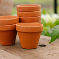 Terrakottatöpfe 7/8 cm, 7 stück