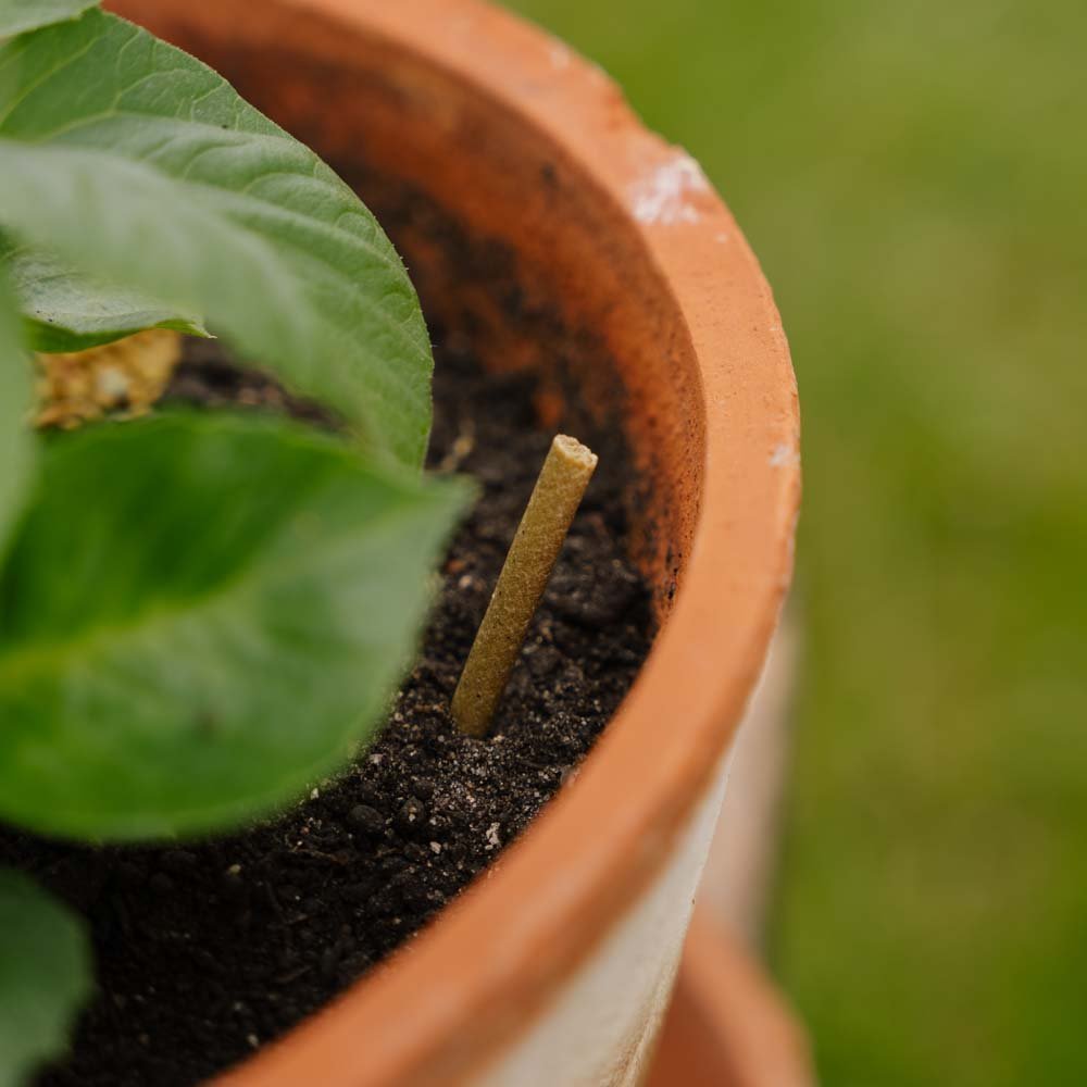 Universaldüngerstäbchen, 30 stück