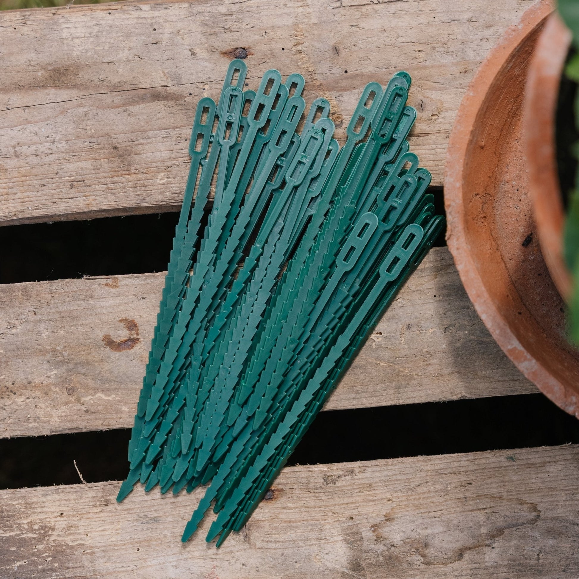 Verstellbare Pflanzenbänder, 50 stück