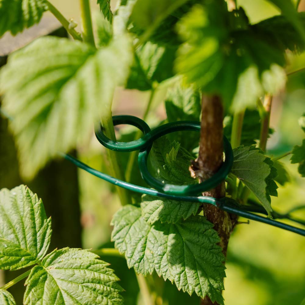 Verstellbare, verdrehte Pflanzenringe, 3 Stück.