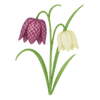 Frühblüher