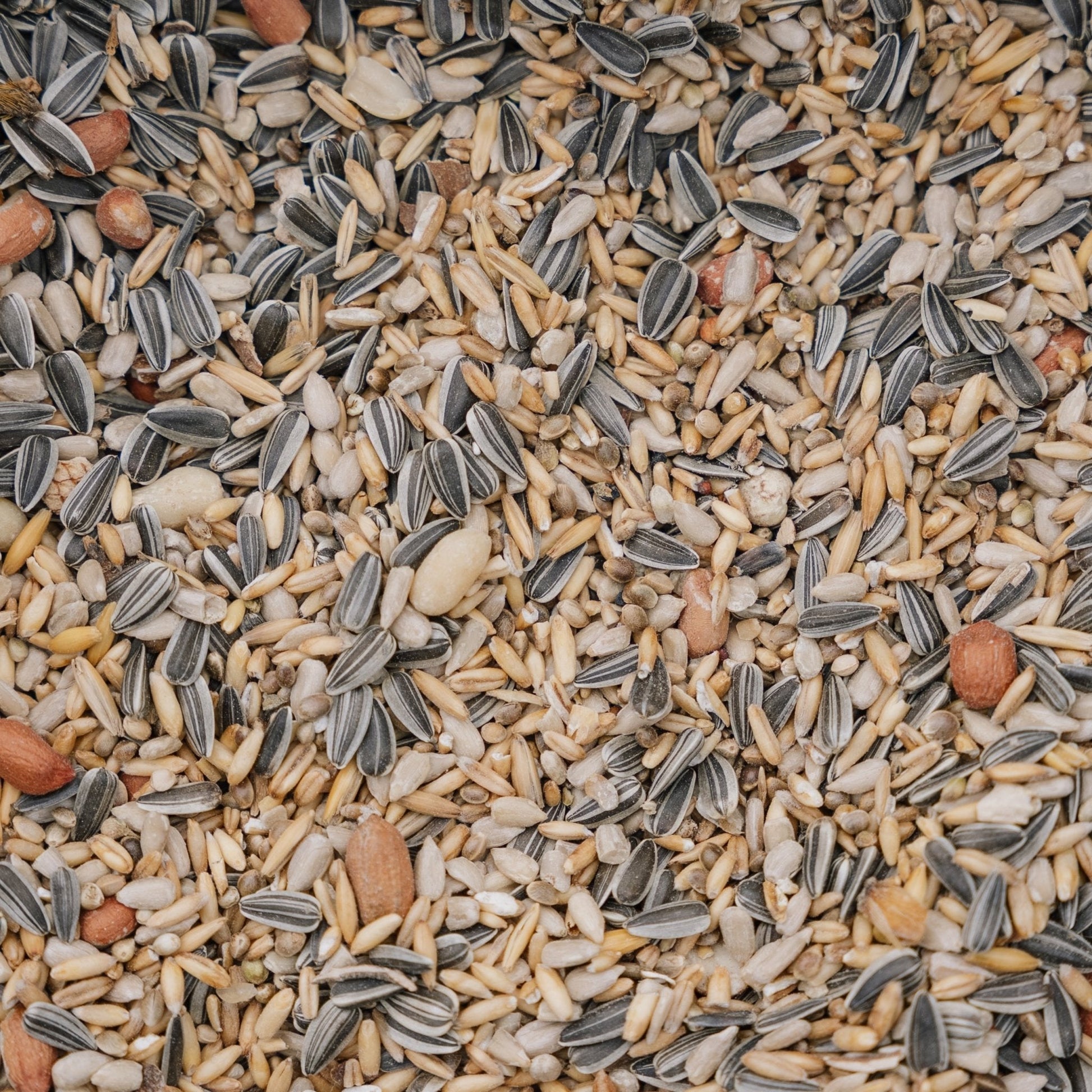 Vogelfutter, Energy de Luxe Mix, 5 L