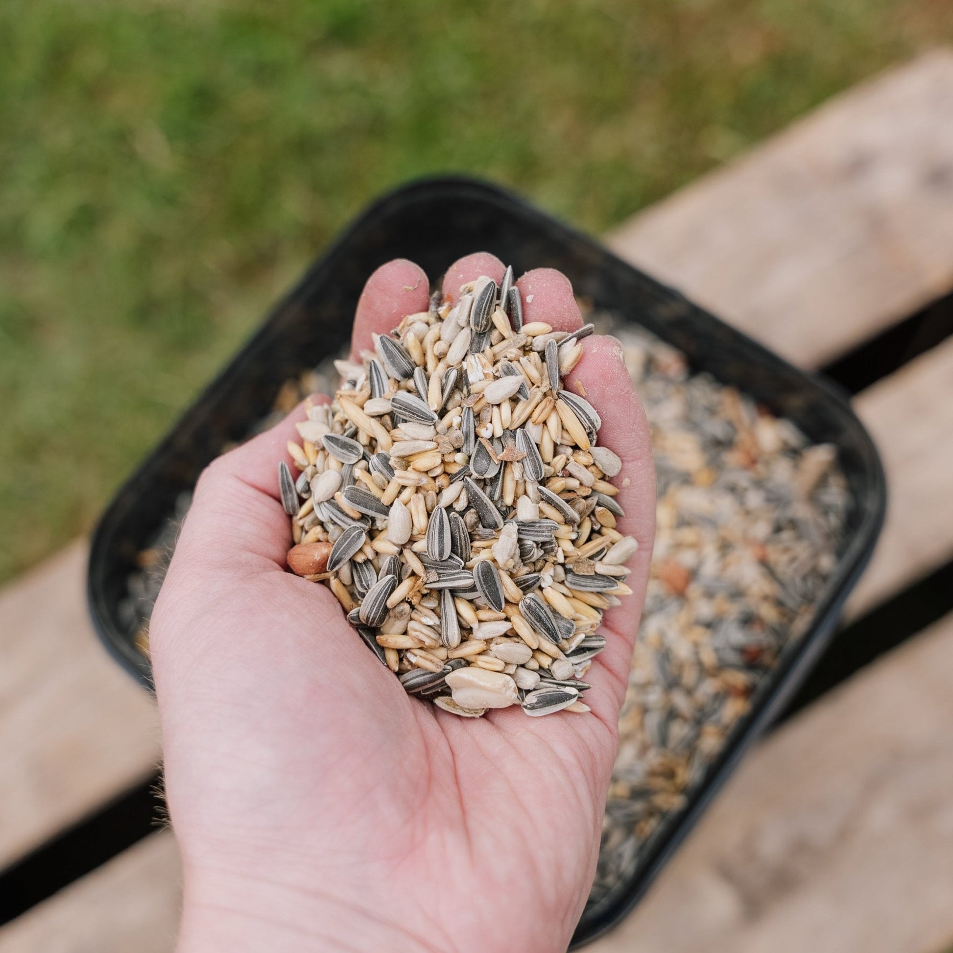 Vogelfutter, Energy de Luxe Mix, 5 L