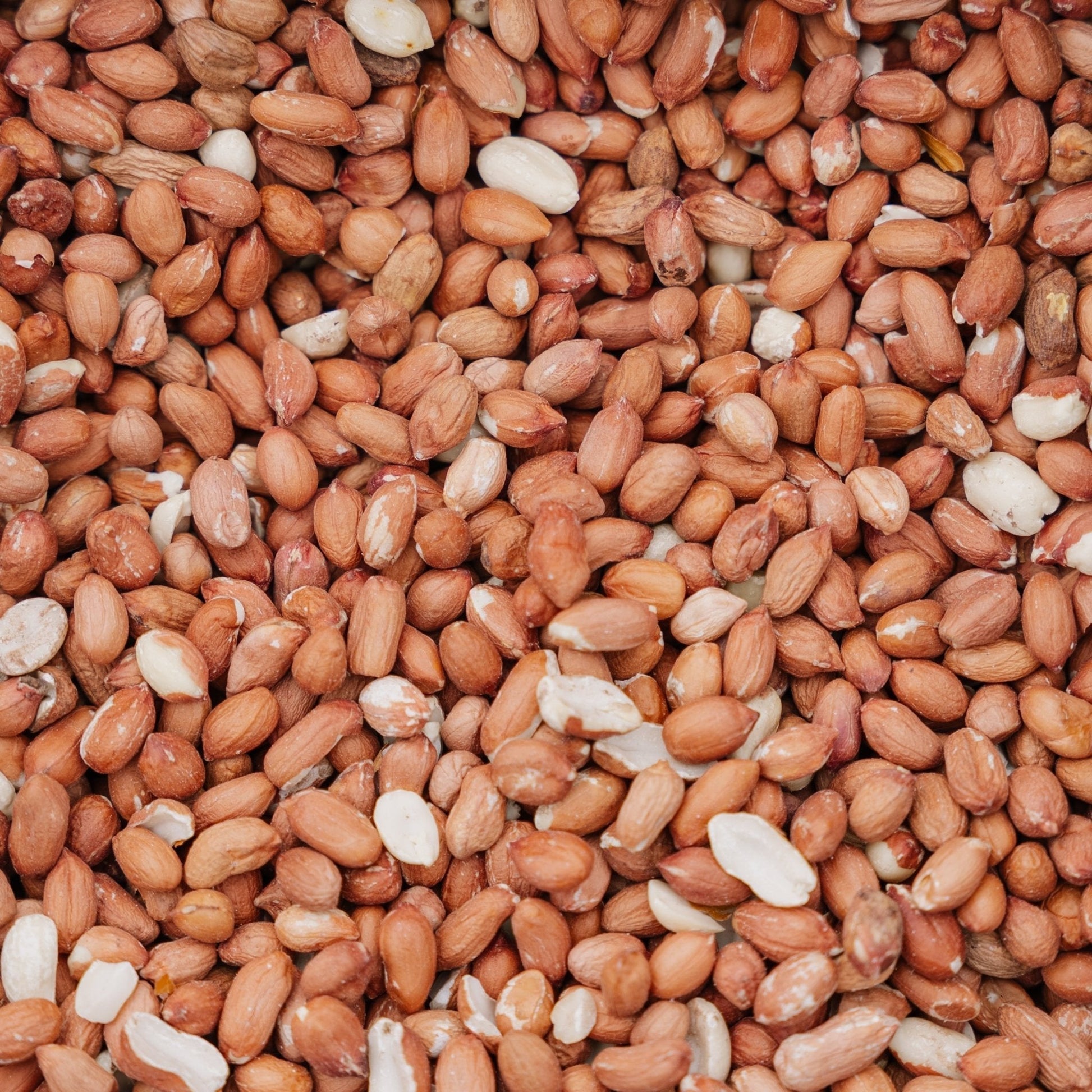 Vogelfutter, Erdnüsse de Luxe, 5 L