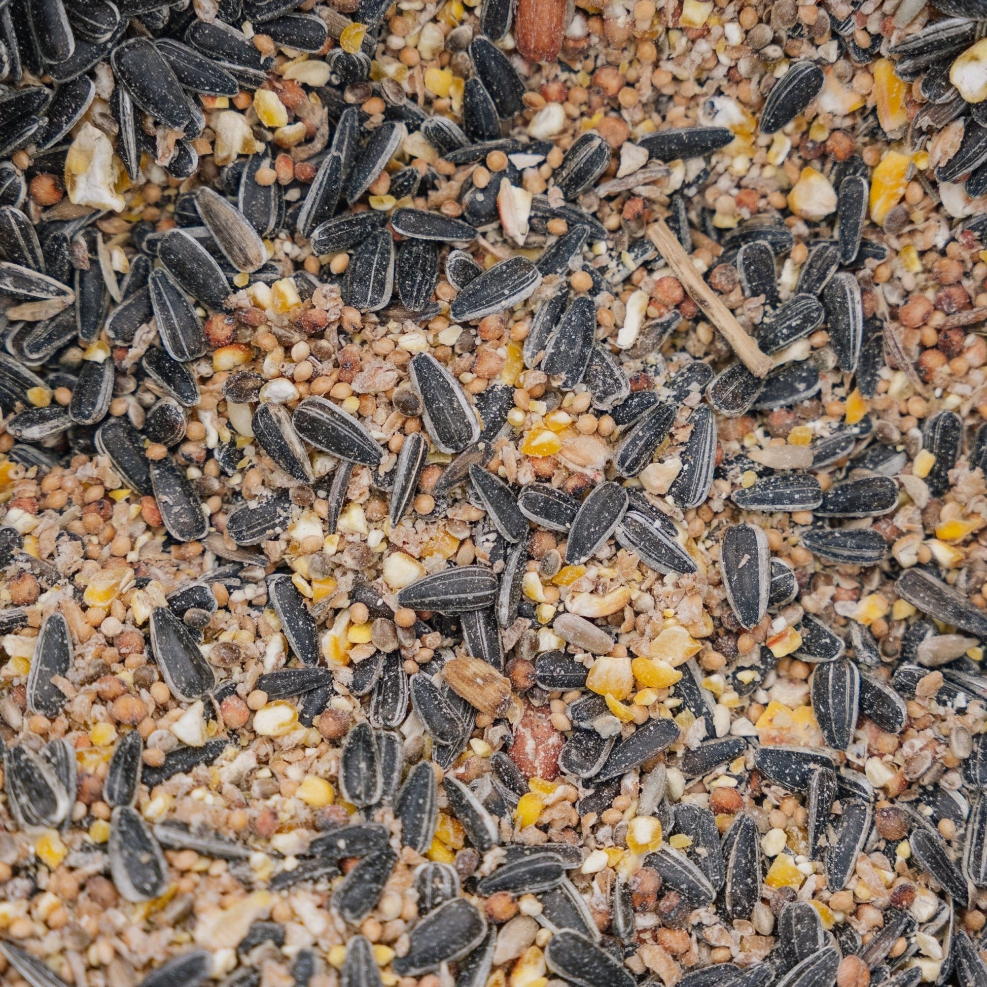 Vogelfutter, Ganzjahres de Luxe Mischung, 5 L