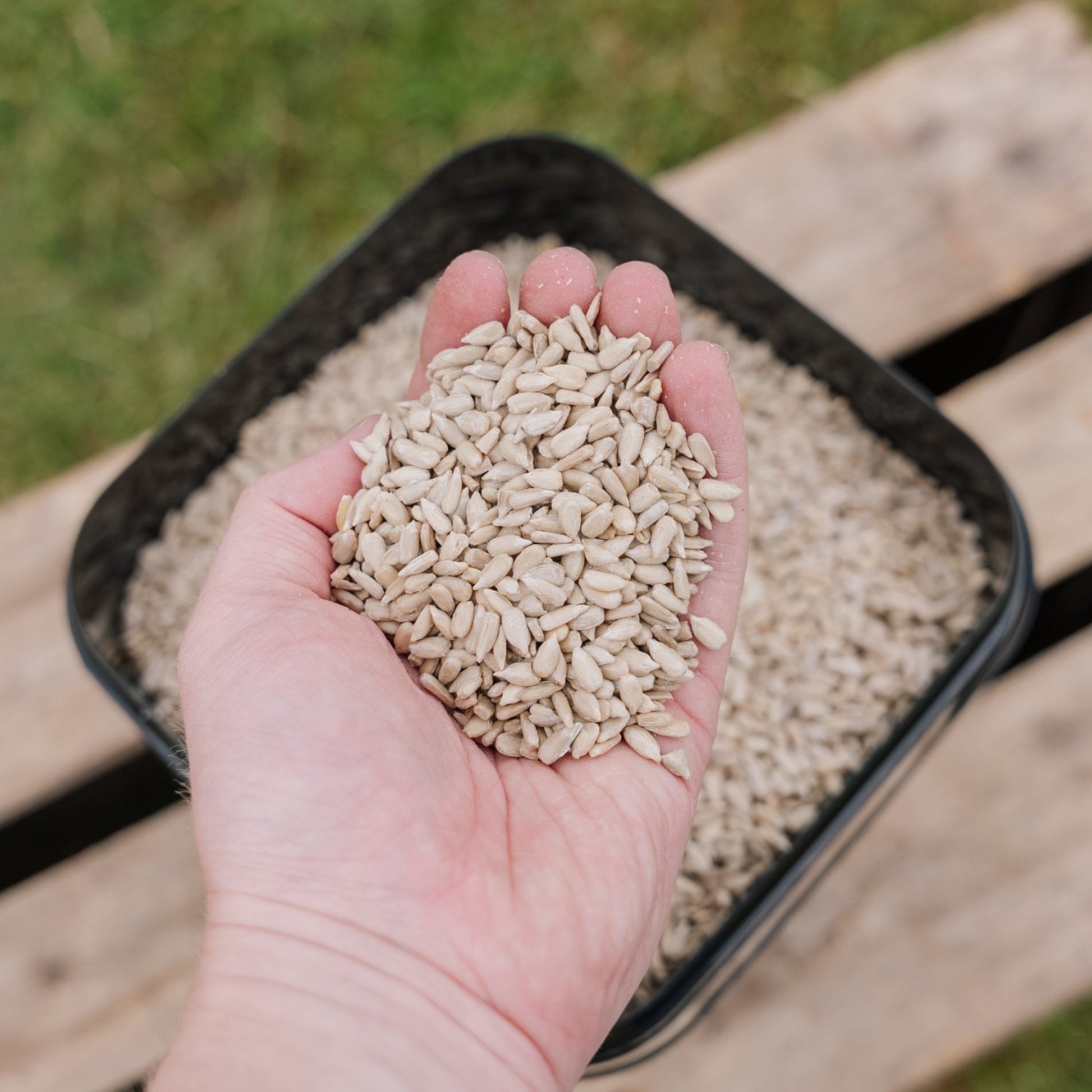 Vogelfutter, Sunflower de Luxe, 5 L