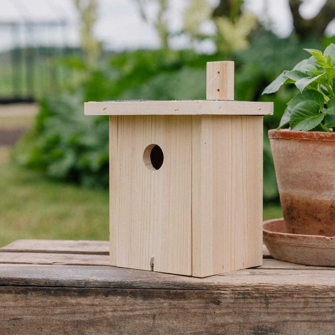 Vogelhaus, Natur, L: 19 cm B: 19 cm H: 22 cm