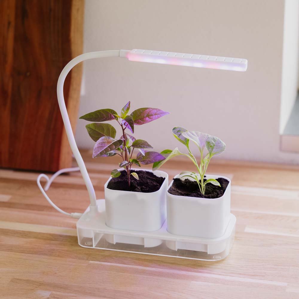 Wachstumslampe mit 2 Töpfen, L: 22,5 cm B: 9 cm H: 28,5 cm