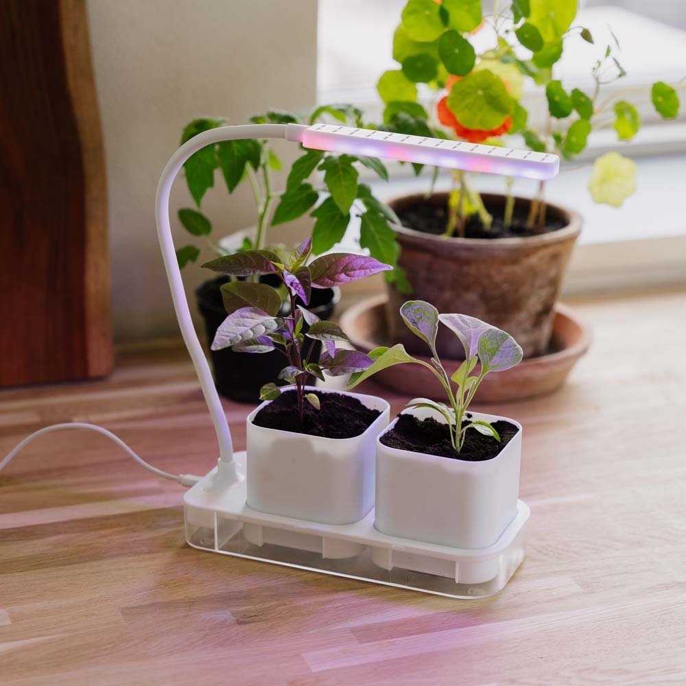 Wachstumslampe mit 2 Töpfen, L: 22,5 cm B: 9 cm H: 28,5 cm