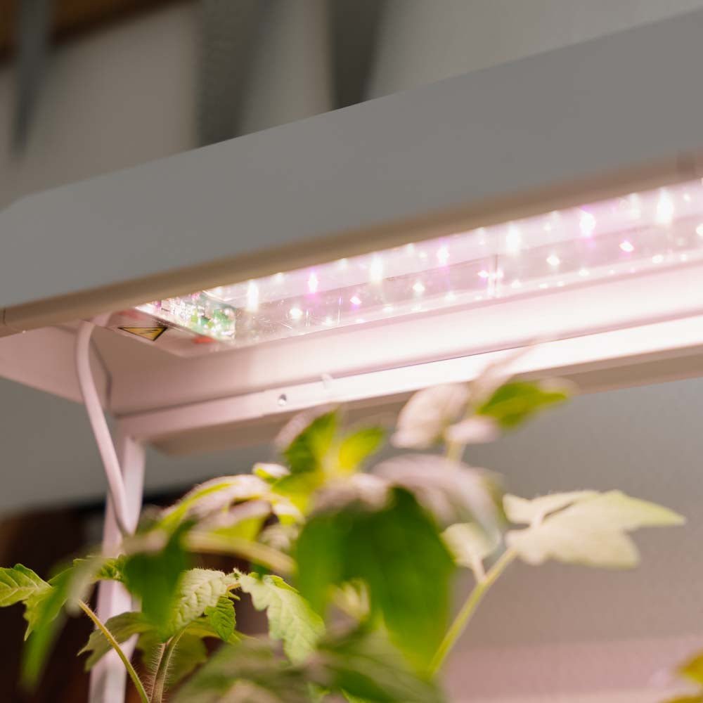 Wachstumslicht, weiß, L: 17,5 cm B: 42,4 cm H: 36,5 cm