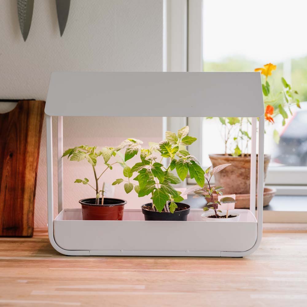 Wachstumslicht, weiß, L: 17,5 cm B: 42,4 cm H: 36,5 cm