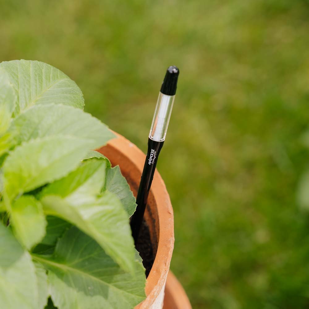 Wasserzähler für Zimmerpflanzen