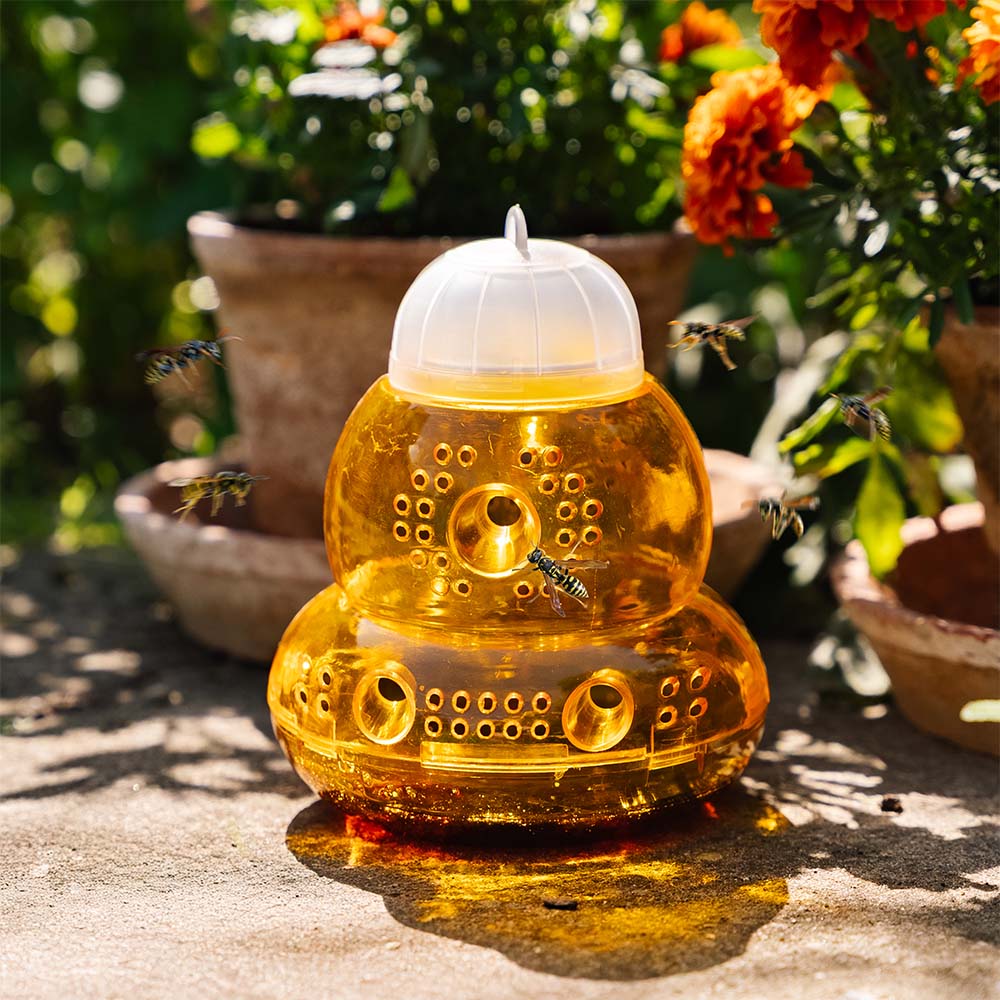 Wespenfalle, 2er Pack