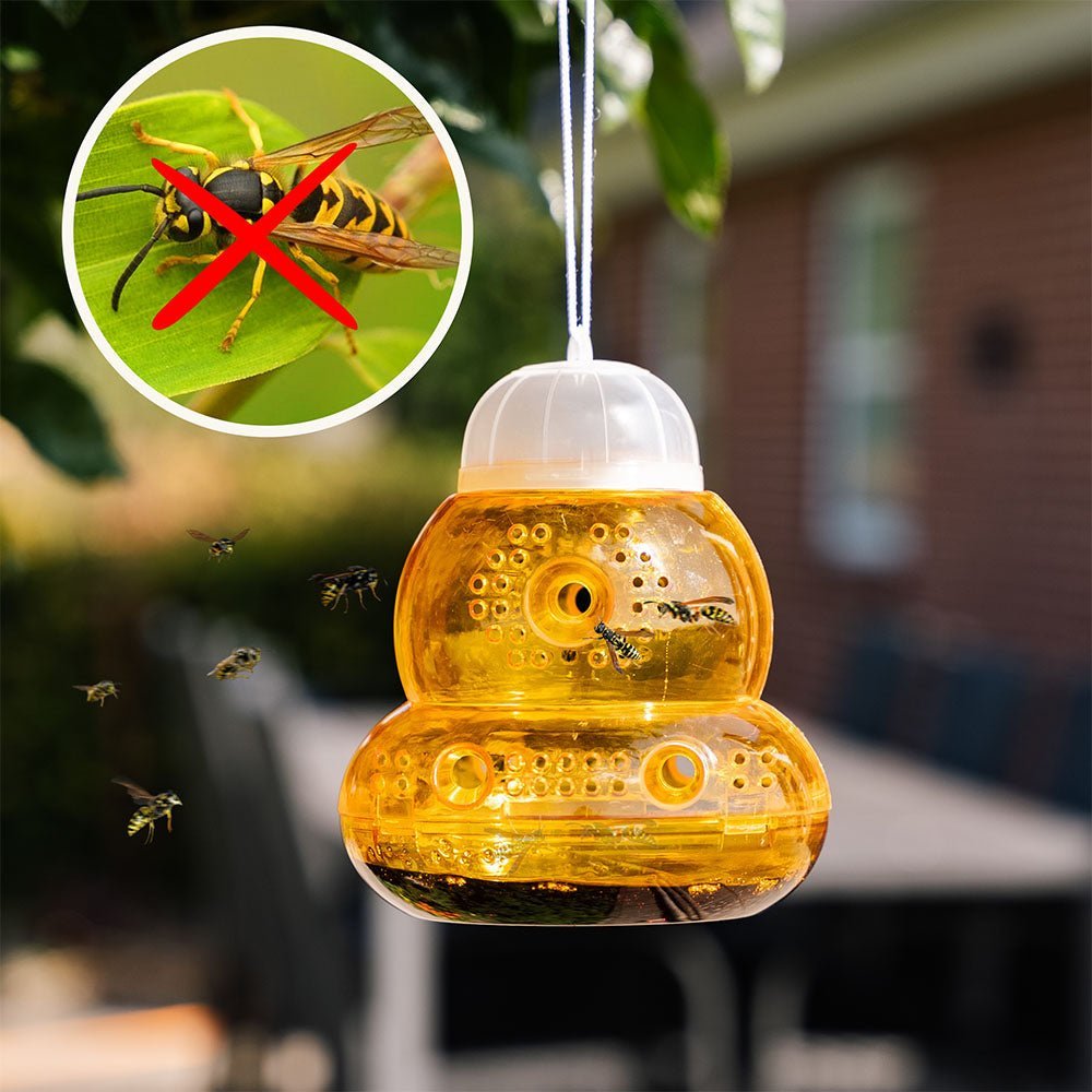 Wespenfalle, 2er Pack