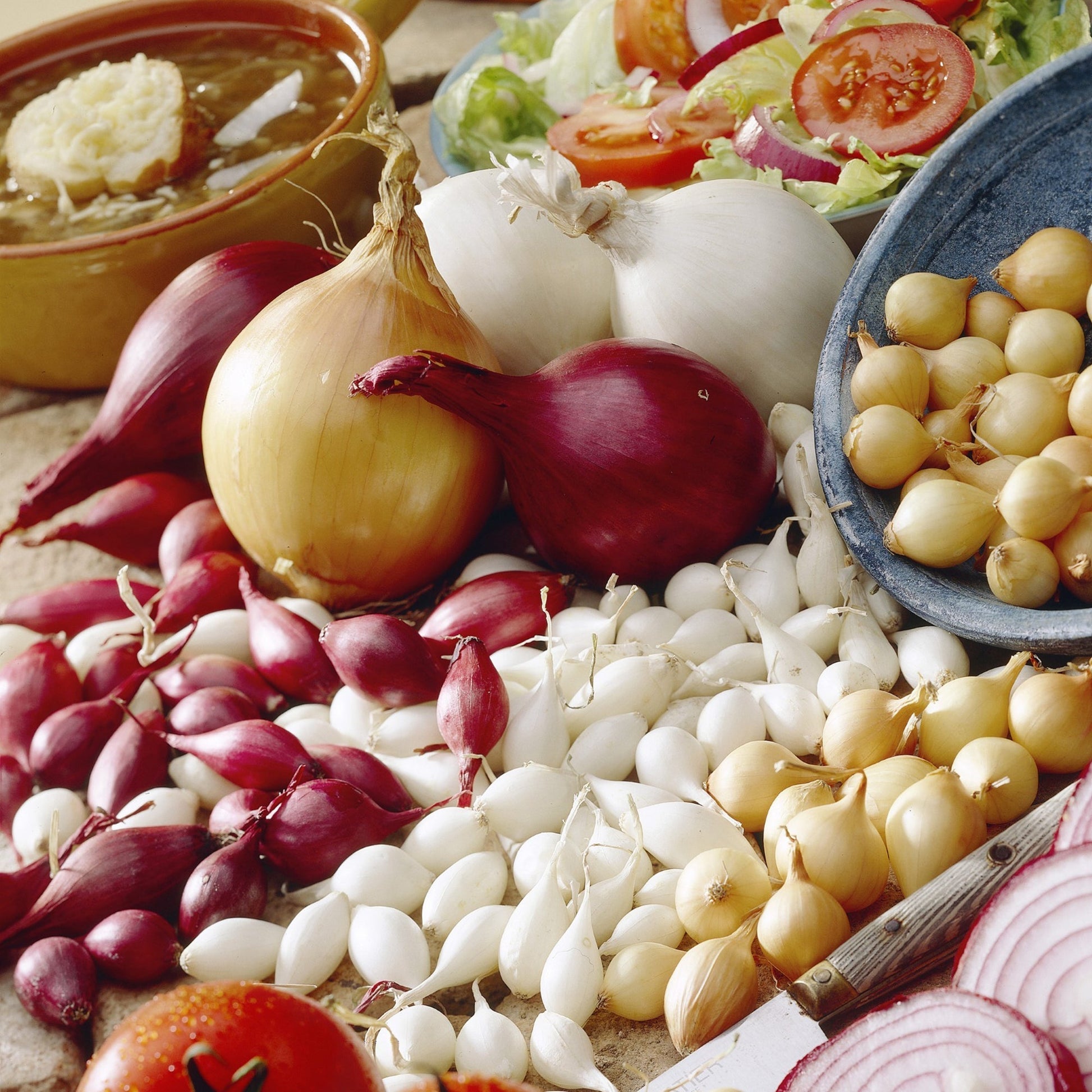 Zwiebel 'Mixed'