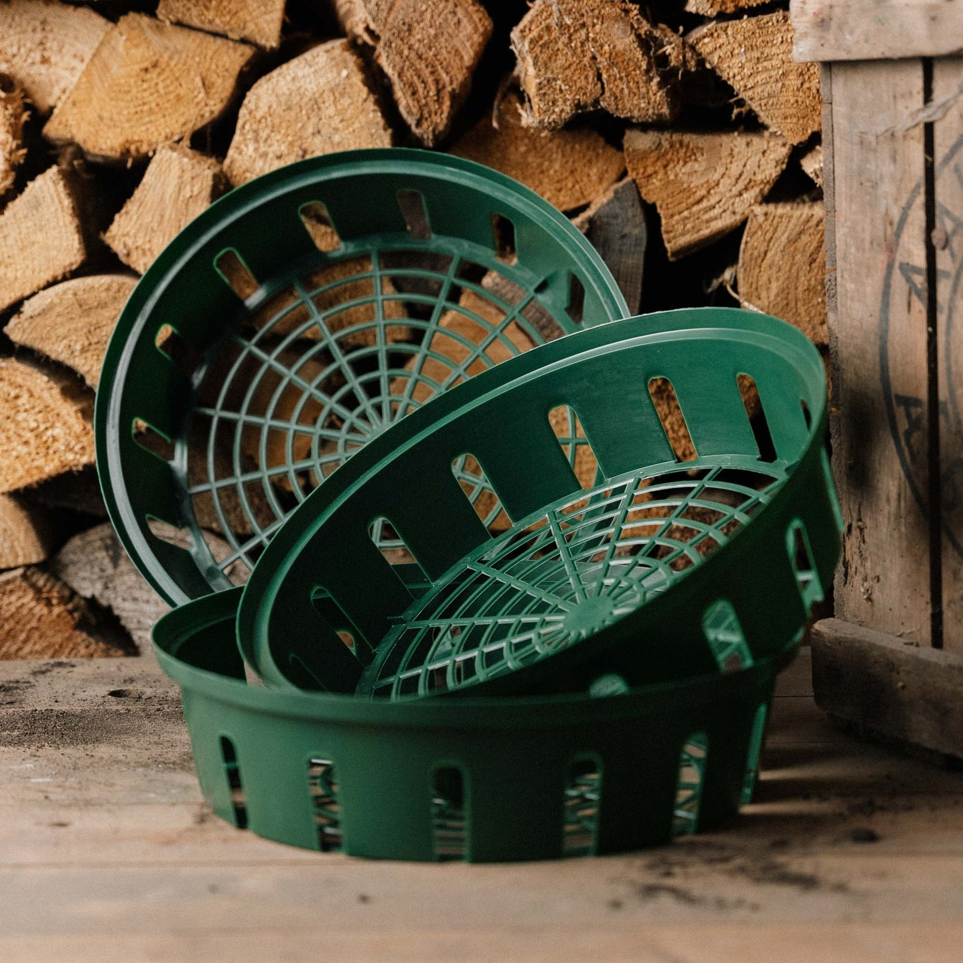 Zwiebelkorb, 3 Stück